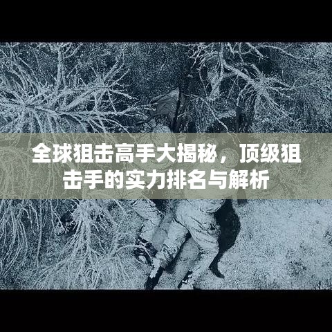 全球狙击高手大揭秘，顶级狙击手的实力排名与解析