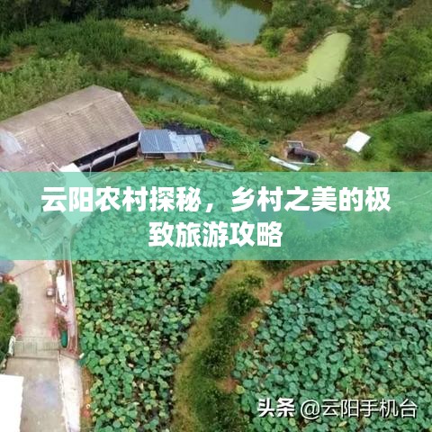 云阳农村探秘，乡村之美的极致旅游攻略