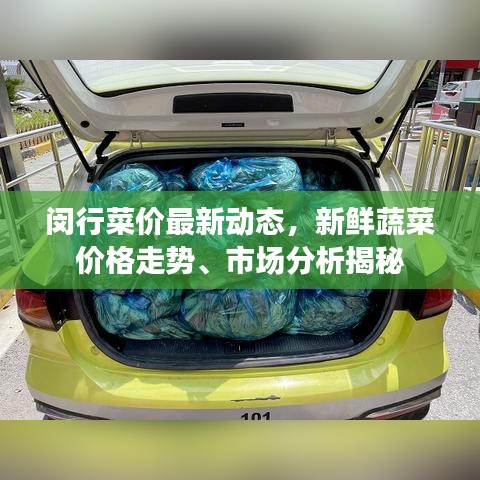 闵行菜价最新动态，新鲜蔬菜价格走势、市场分析揭秘