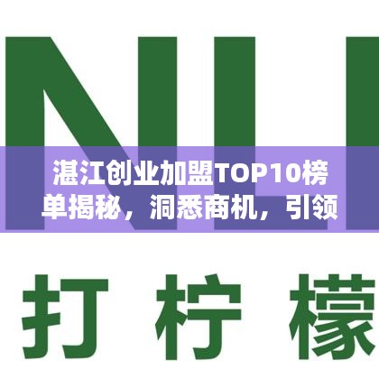 湛江创业加盟TOP10榜单揭秘，洞悉商机，引领未来财富之路！