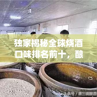 独家揭秘全球烧酒口味排名前十，酿酒艺术之旅领略独特风味！