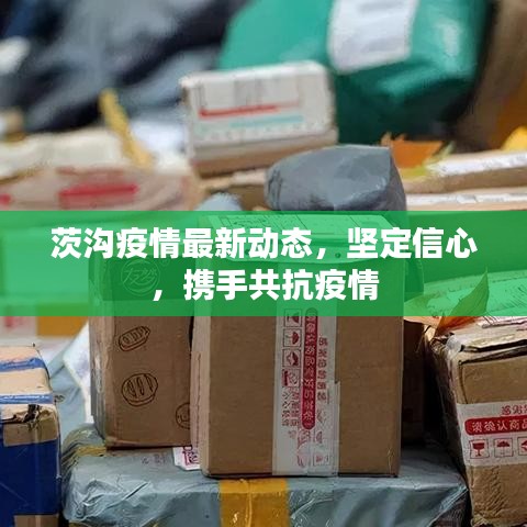 茨沟疫情最新动态，坚定信心，携手共抗疫情