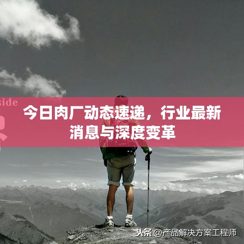 今日肉厂动态速递，行业最新消息与深度变革