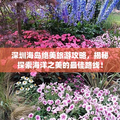 深圳海岛绝美旅游攻略，揭秘探索海洋之美的最佳路线！