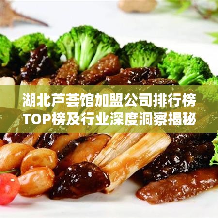 湖北芦荟馆加盟公司排行榜TOP榜及行业深度洞察揭秘!