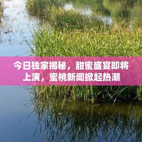 今日独家揭秘,甜蜜盛宴即将上演,蜜桃新闻掀起热潮