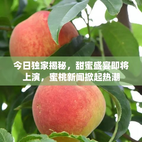 今日独家揭秘,甜蜜盛宴即将上演,蜜桃新闻掀起热潮