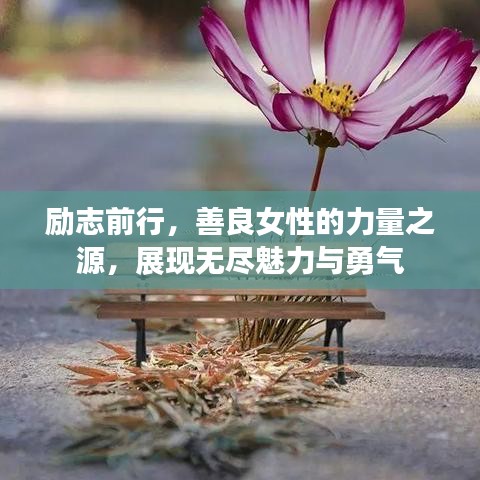 励志前行，善良女性的力量之源，展现无尽魅力与勇气