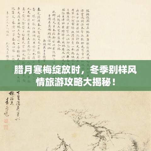 腊月寒梅绽放时，冬季别样风情旅游攻略大揭秘！