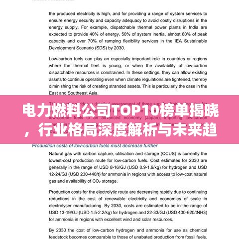电力燃料公司TOP10榜单揭晓，行业格局深度解析与未来趋势展望