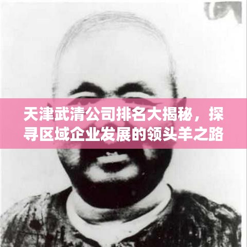 天津武清公司排名大揭秘，探寻区域企业发展的领头羊之路