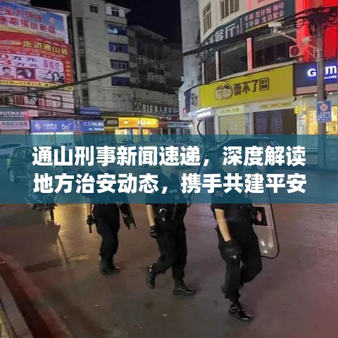 通山刑事新闻速递，深度解读地方治安动态，携手共建平安社会