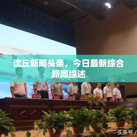 沈丘新闻头条，今日最新综合新闻综述