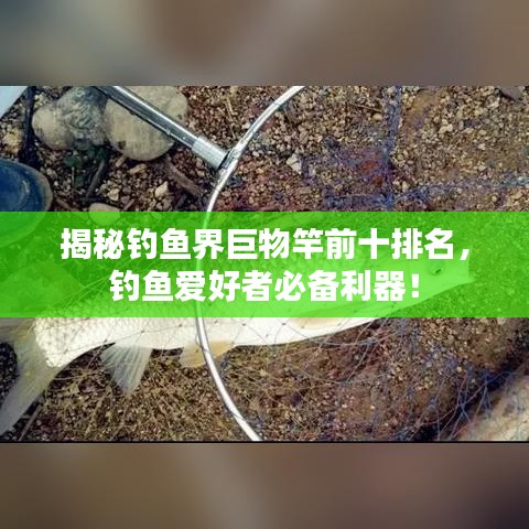 揭秘钓鱼界巨物竿前十排名，钓鱼爱好者必备利器！