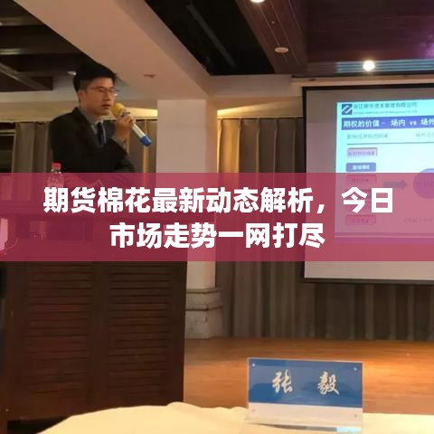 期货棉花最新动态解析，今日市场走势一网打尽