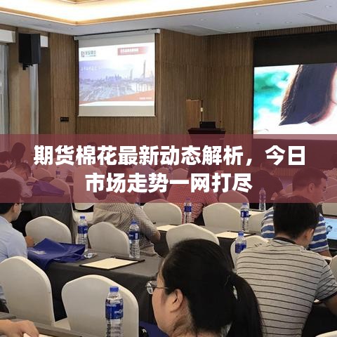 期货棉花最新动态解析,今日市场走势一网打尽