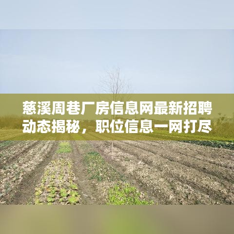 慈溪周巷厂房信息网最新招聘动态揭秘，职位信息一网打尽！
