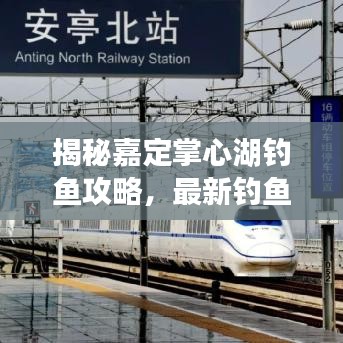 揭秘嘉定掌心湖钓鱼攻略，最新钓鱼地点图，轻松钓大鱼！