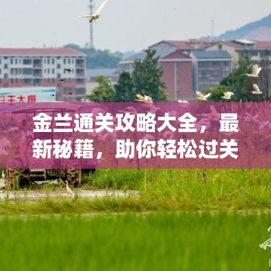 金兰通关攻略大全，最新秘籍，助你轻松过关！