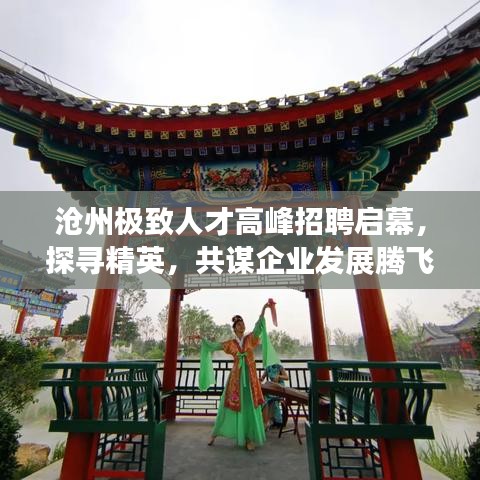 沧州极致人才高峰招聘启幕，探寻精英，共谋企业发展腾飞之路