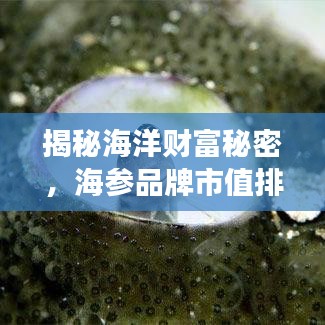 揭秘海洋财富秘密,海参品牌市值排名前十强榜单揭晓!