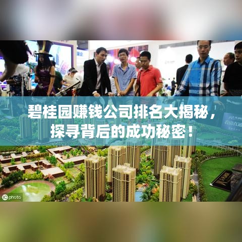 碧桂园赚钱公司排名大揭秘，探寻背后的成功秘密！