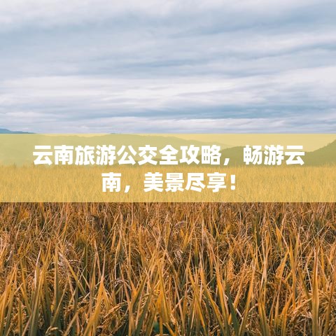 云南旅游公交全攻略，畅游云南，美景尽享！