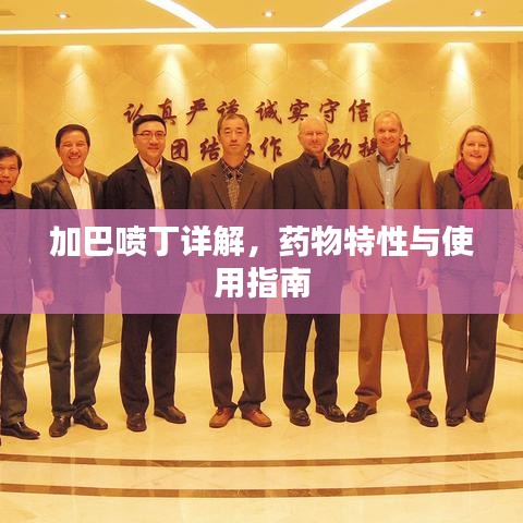 加巴喷丁详解，药物特性与使用指南