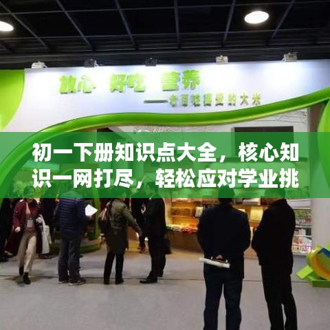 初一下册知识点大全，核心知识一网打尽，轻松应对学业挑战百度文库