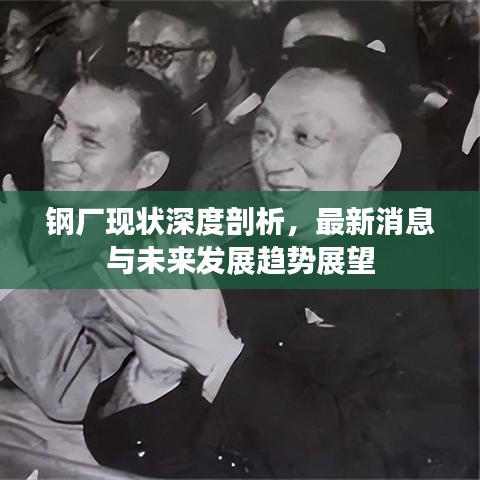 钢厂现状深度剖析，最新消息与未来发展趋势展望