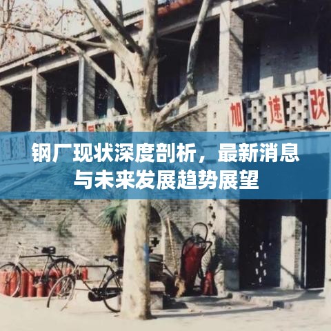 钢厂现状深度剖析,最新消息与未来发展趋势展望