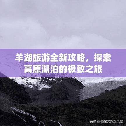 羊湖旅游全新攻略，探索高原湖泊的极致之旅