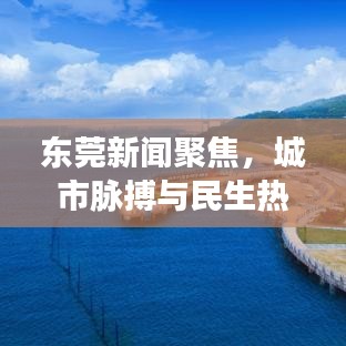 东莞新闻聚焦，城市脉搏与民生热点关注