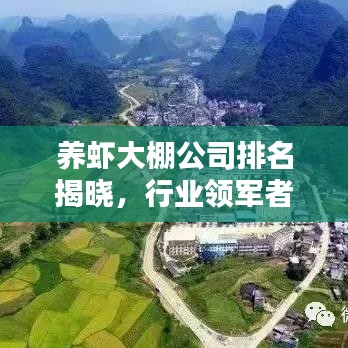 养虾大棚公司排名揭晓，行业领军者榜单探寻