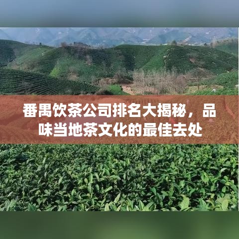 番禺饮茶公司排名大揭秘,品味当地茶文化的最佳去处