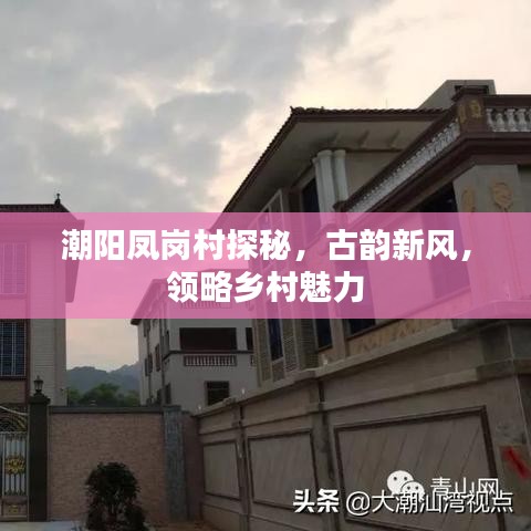 潮阳凤岗村探秘，古韵新风，领略乡村魅力