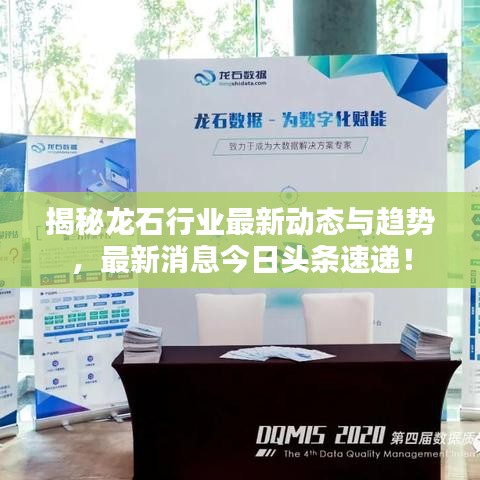 揭秘龙石行业最新动态与趋势，最新消息今日头条速递！