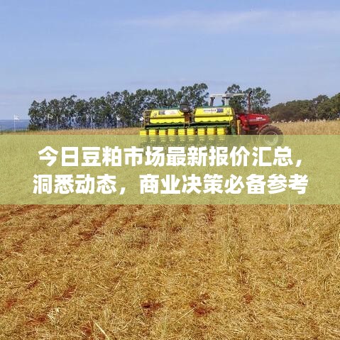 今日豆粕市场最新报价汇总，洞悉动态，商业决策必备参考