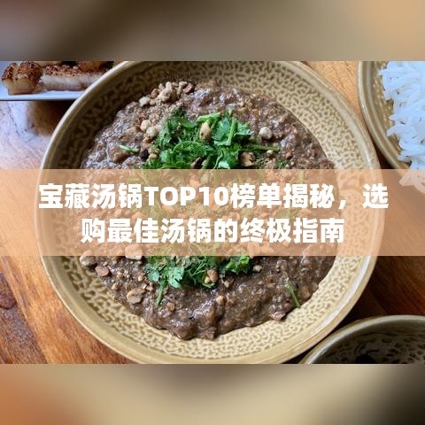 宝藏汤锅TOP10榜单揭秘，选购最佳汤锅的终极指南
