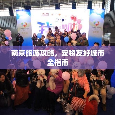 南京旅游攻略，宠物友好城市全指南