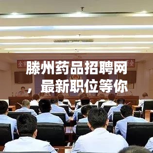 滕州药品招聘网，最新职位等你来挑战，开启职业新篇章！