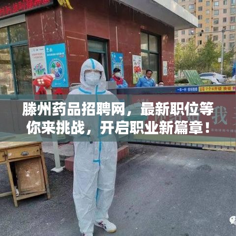 滕州药品招聘网,最新职位等你来挑战,开启职业新篇章!
