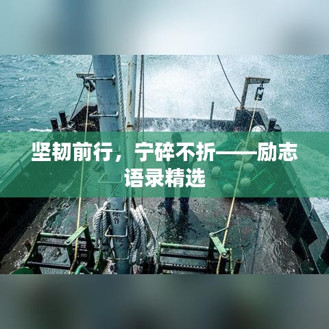 坚韧前行，宁碎不折——励志语录精选