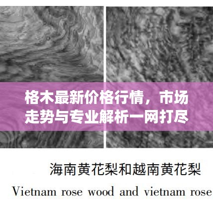 格木最新价格行情，市场走势与专业解析一网打尽