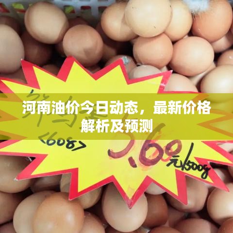 河南油价今日动态，最新价格解析及预测