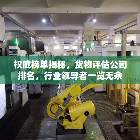 权威榜单揭秘，货物评估公司排名，行业领导者一览无余