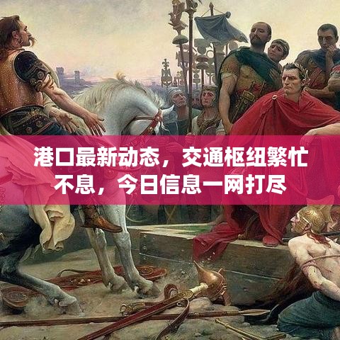 港口最新动态，交通枢纽繁忙不息，今日信息一网打尽