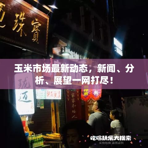 玉米市场最新动态，新闻、分析、展望一网打尽！