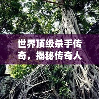 世界顶级杀手传奇，揭秘传奇人物的神秘背景与故事