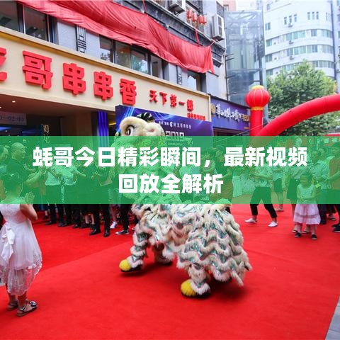 蚝哥今日精彩瞬间，最新视频回放全解析